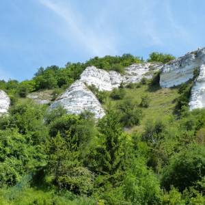vexin_francais_2_original