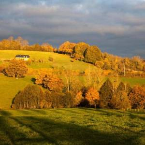 route_du_cidre_automne_original_copy_1