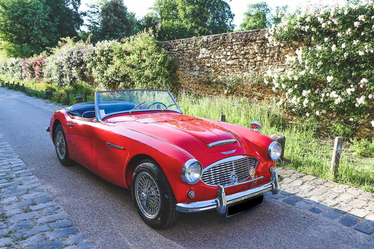 Notre Austin Healey en location chez Cartis