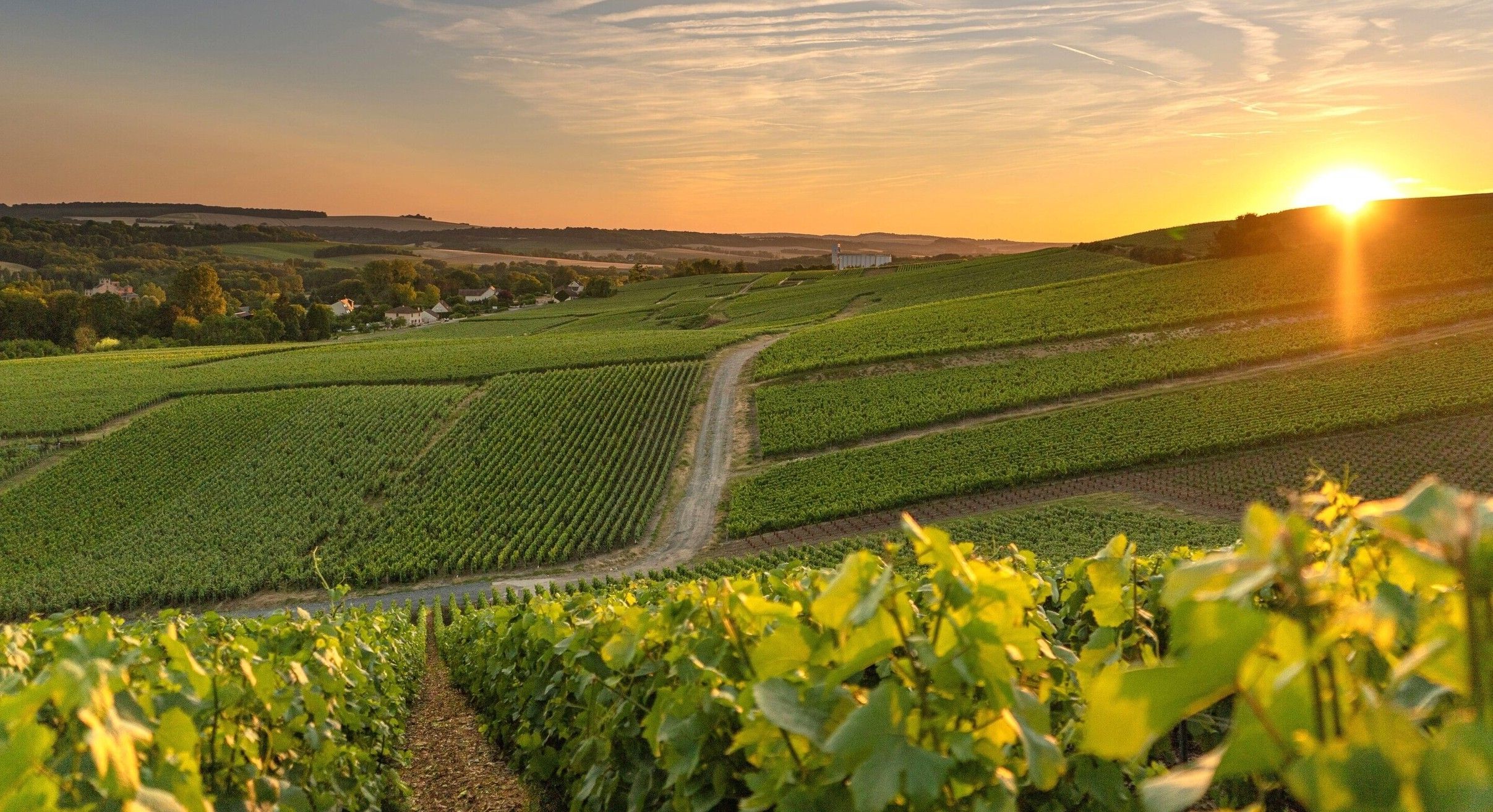 Champagne et ses vignobles